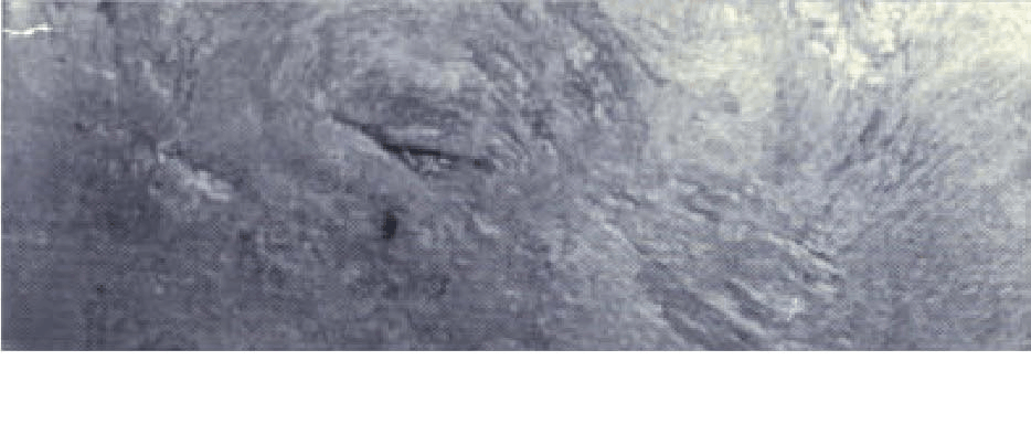 Oberflächendefekte beim Aluminiumguss 2.png